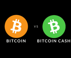 Bitcoin v Bitcoin Cash