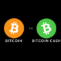 Bitcoin vs. Bitcoin Cash – hvad er forskellen?