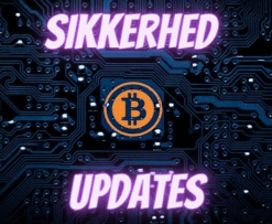 Kryptovaluta sikkerhed