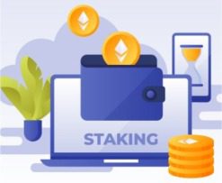 Hvad er staking?